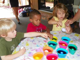group11.jpg