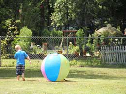 garden_003.jpg
