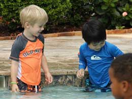 pool_014.jpg